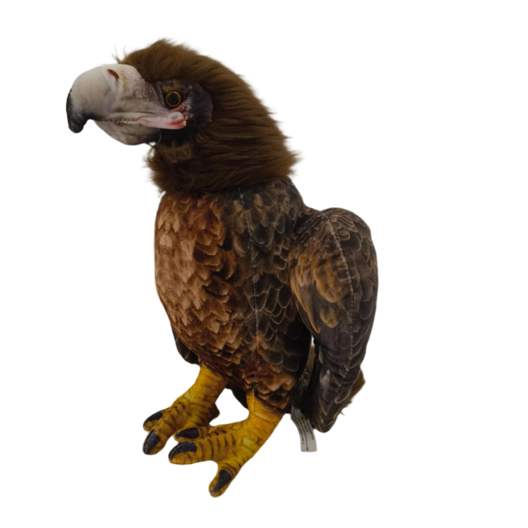 Louise the Wedge Tail Eagle - Nana's Weighted Blankets