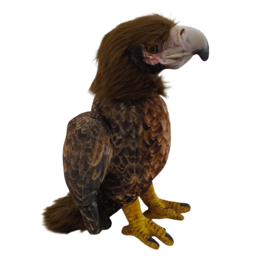 Louise the Wedge Tail Eagle - Nana's Weighted Blankets