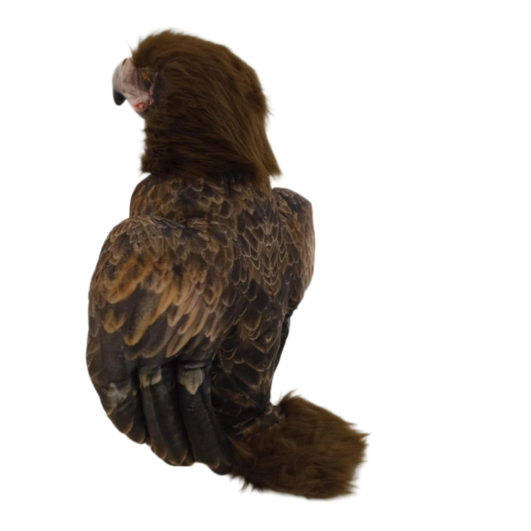 Louise the Wedge Tail Eagle - Nana's Weighted Blankets